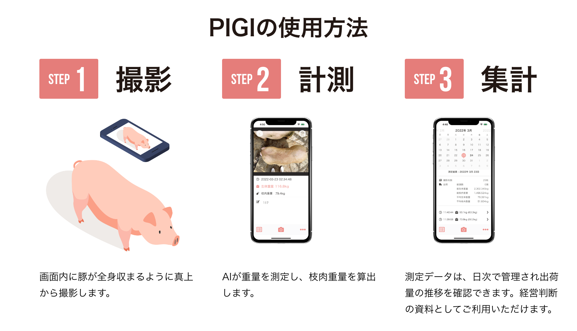 PIGIの使用方法