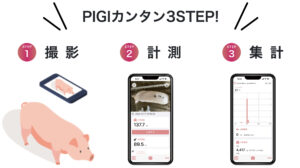 PIGI カンタン3STEP